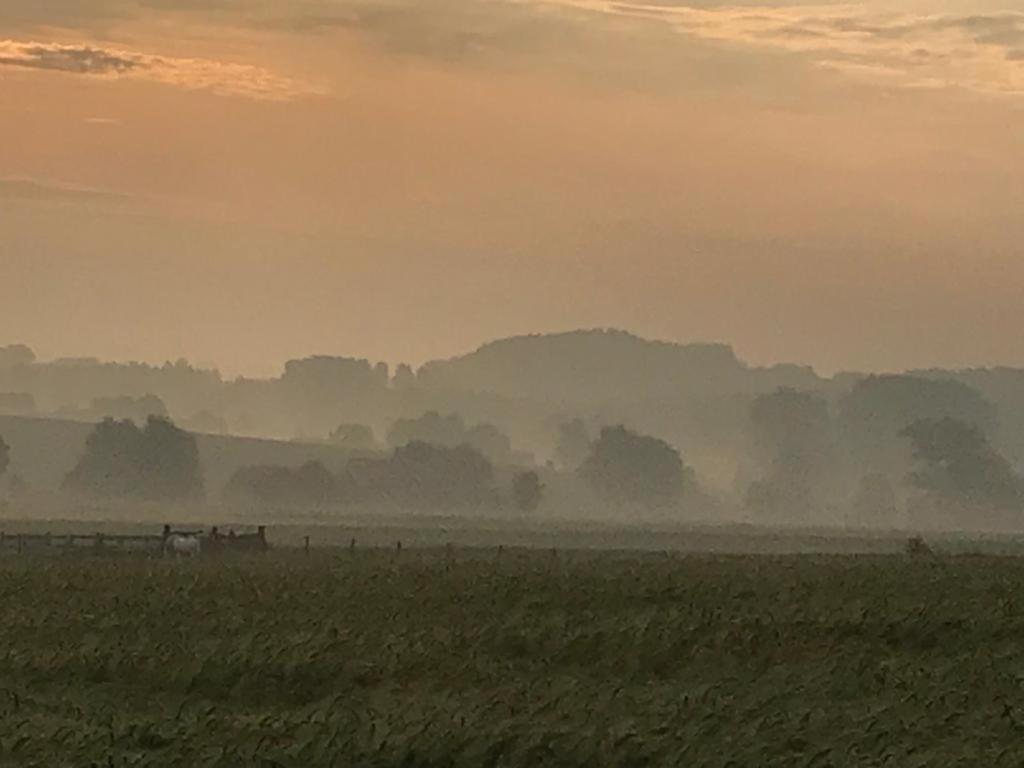 Kompas Gite Ellezelles Exteriör bild